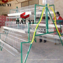 Vertical Type Easy For Manage Chicken Cages